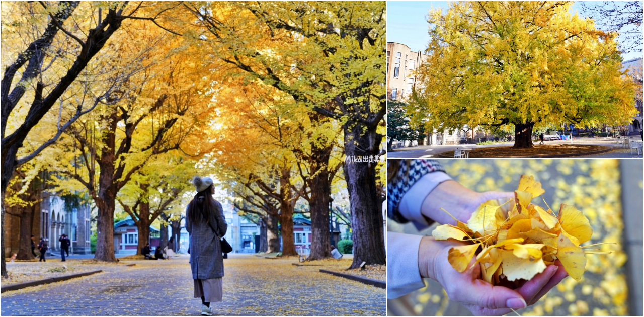 【日本】 東京大學 銀杏並木｜秋日限定  歐式建築學院風，絕美黃金浪漫大學路。 @Mika出走美食日誌