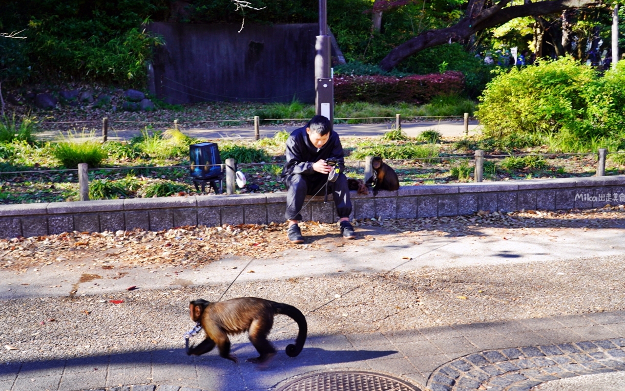 【東京】 上野 恩賜公園｜上野恩賜公園 140多年歷史 日本第一座都市公園，周邊景點與銀杏楓景重點總整理。