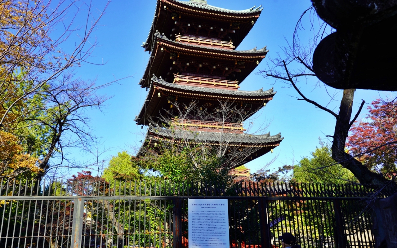 【東京】 上野 恩賜公園｜上野恩賜公園 140多年歷史 日本第一座都市公園，周邊景點與銀杏楓景重點總整理。