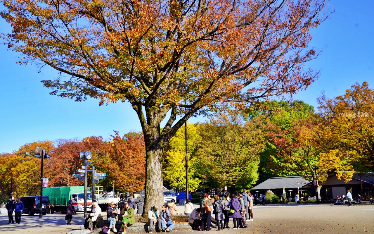 【東京】 上野 恩賜公園｜上野恩賜公園 140多年歷史 日本第一座都市公園，周邊景點與銀杏楓景重點總整理。