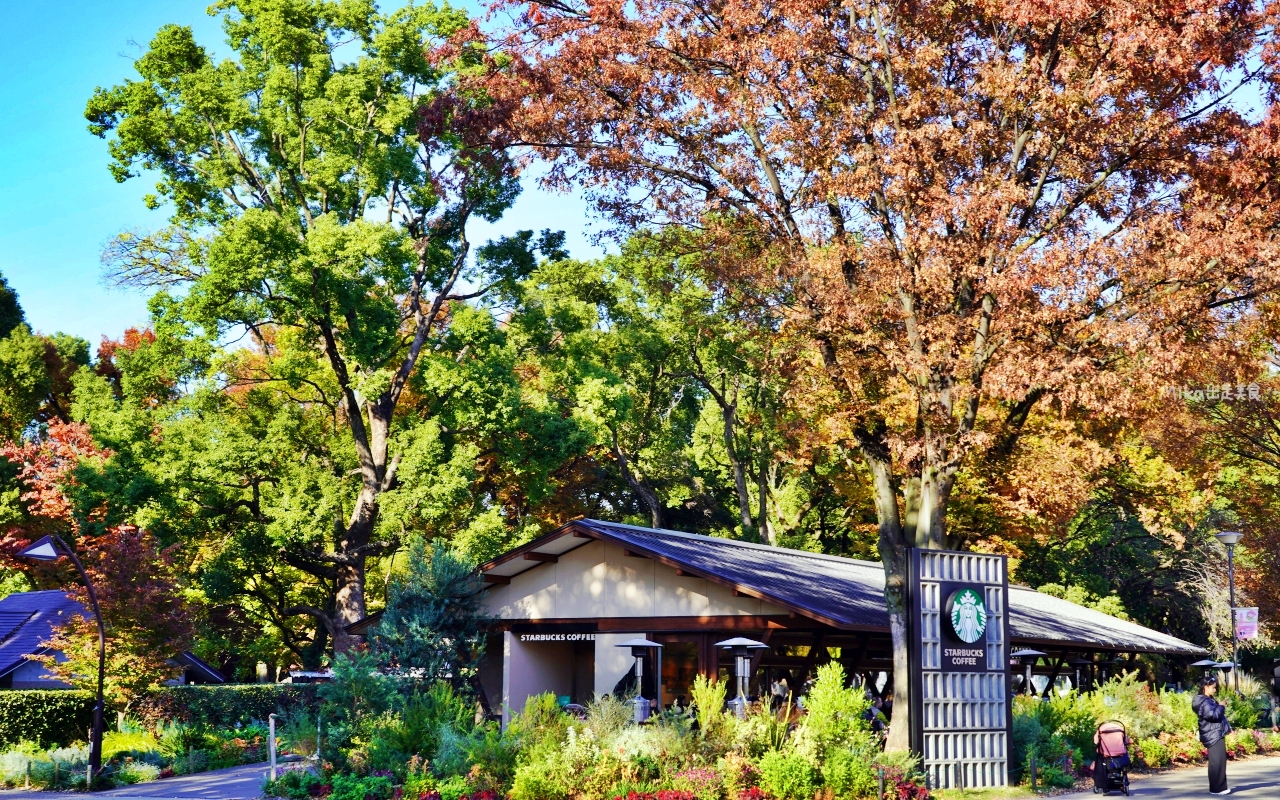 【東京】 上野 恩賜公園｜上野恩賜公園 140多年歷史 日本第一座都市公園，周邊景點與銀杏楓景重點總整理。