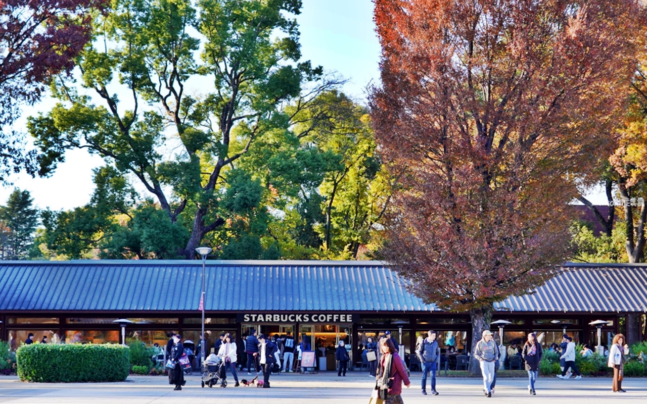 【東京】 上野 恩賜公園｜上野恩賜公園 140多年歷史 日本第一座都市公園，周邊景點與銀杏楓景重點總整理。