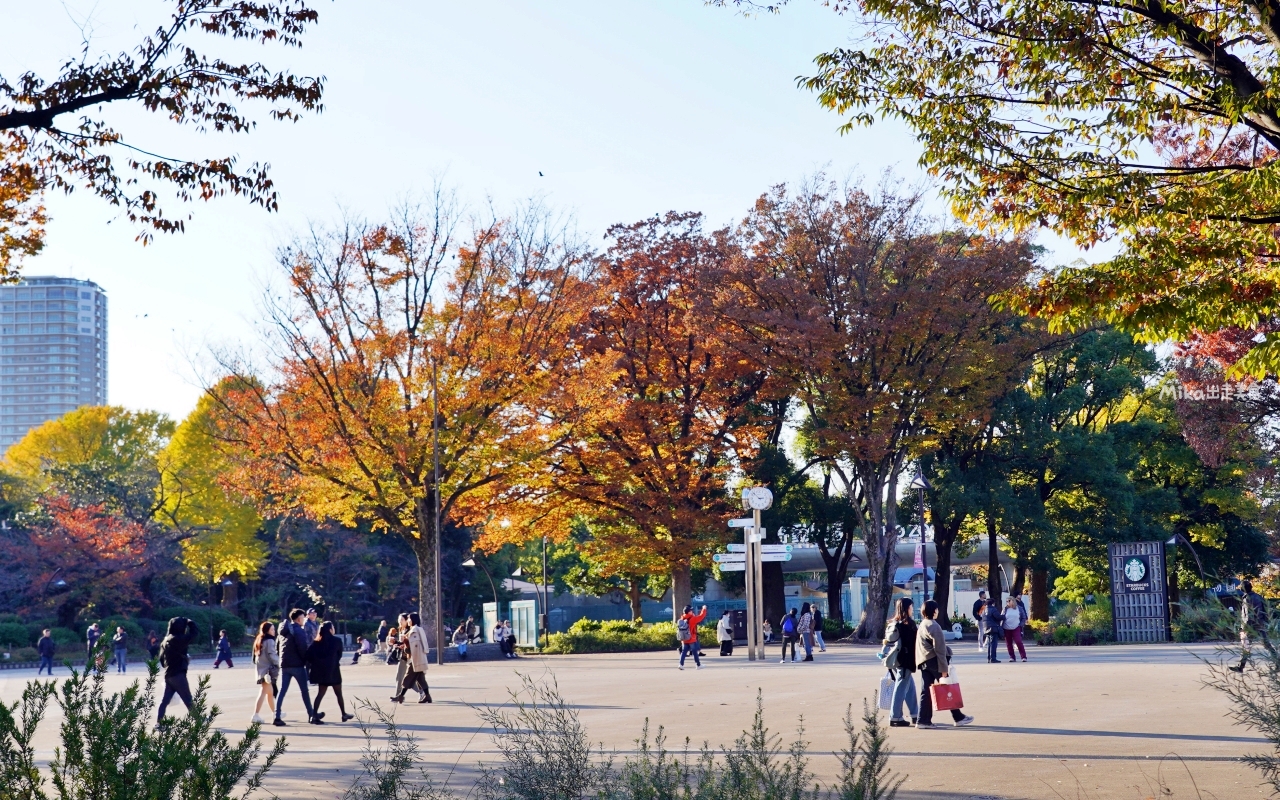 【東京】 上野 恩賜公園｜上野恩賜公園 140多年歷史 日本第一座都市公園，周邊景點與銀杏楓景重點總整理。