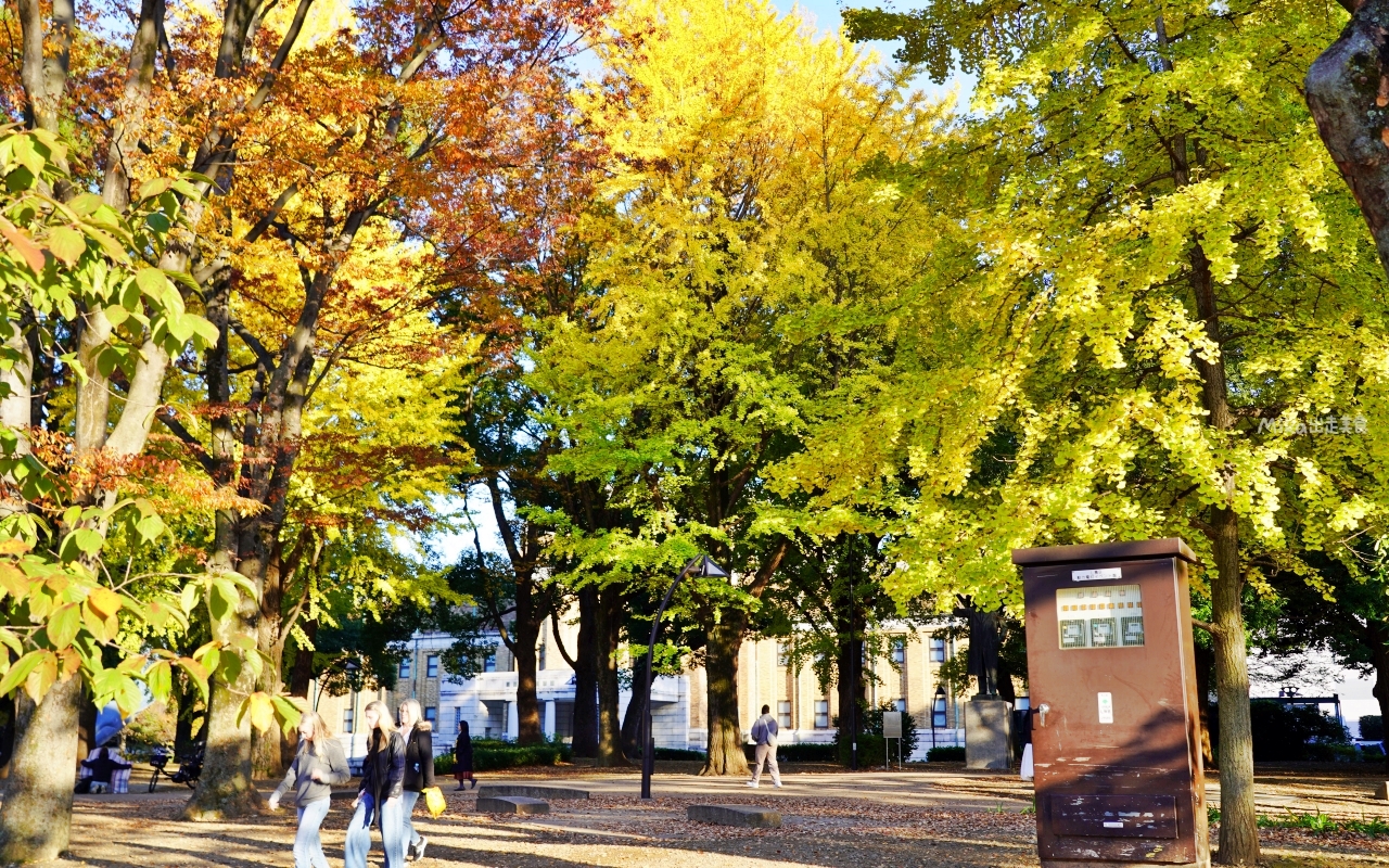 【東京】 上野 恩賜公園｜上野恩賜公園 140多年歷史 日本第一座都市公園，周邊景點與銀杏楓景重點總整理。