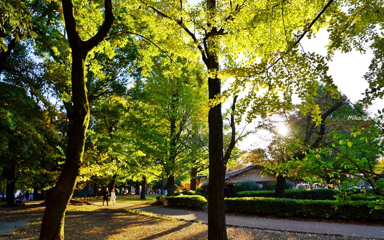 【東京】 上野 恩賜公園｜上野恩賜公園 140多年歷史 日本第一座都市公園，周邊景點與銀杏楓景重點總整理。