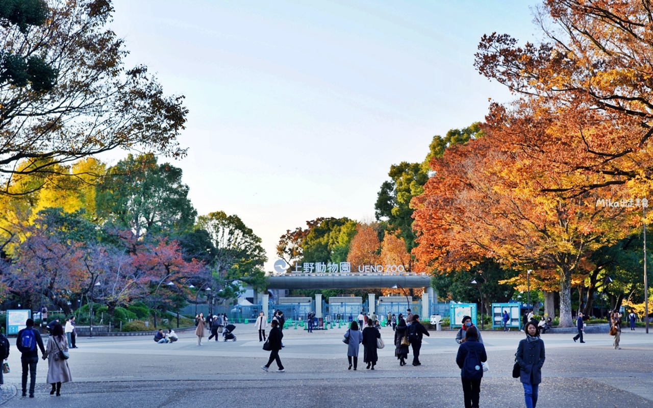 【東京】 上野 恩賜公園｜上野恩賜公園 140多年歷史 日本第一座都市公園，周邊景點與銀杏楓景重點總整理。