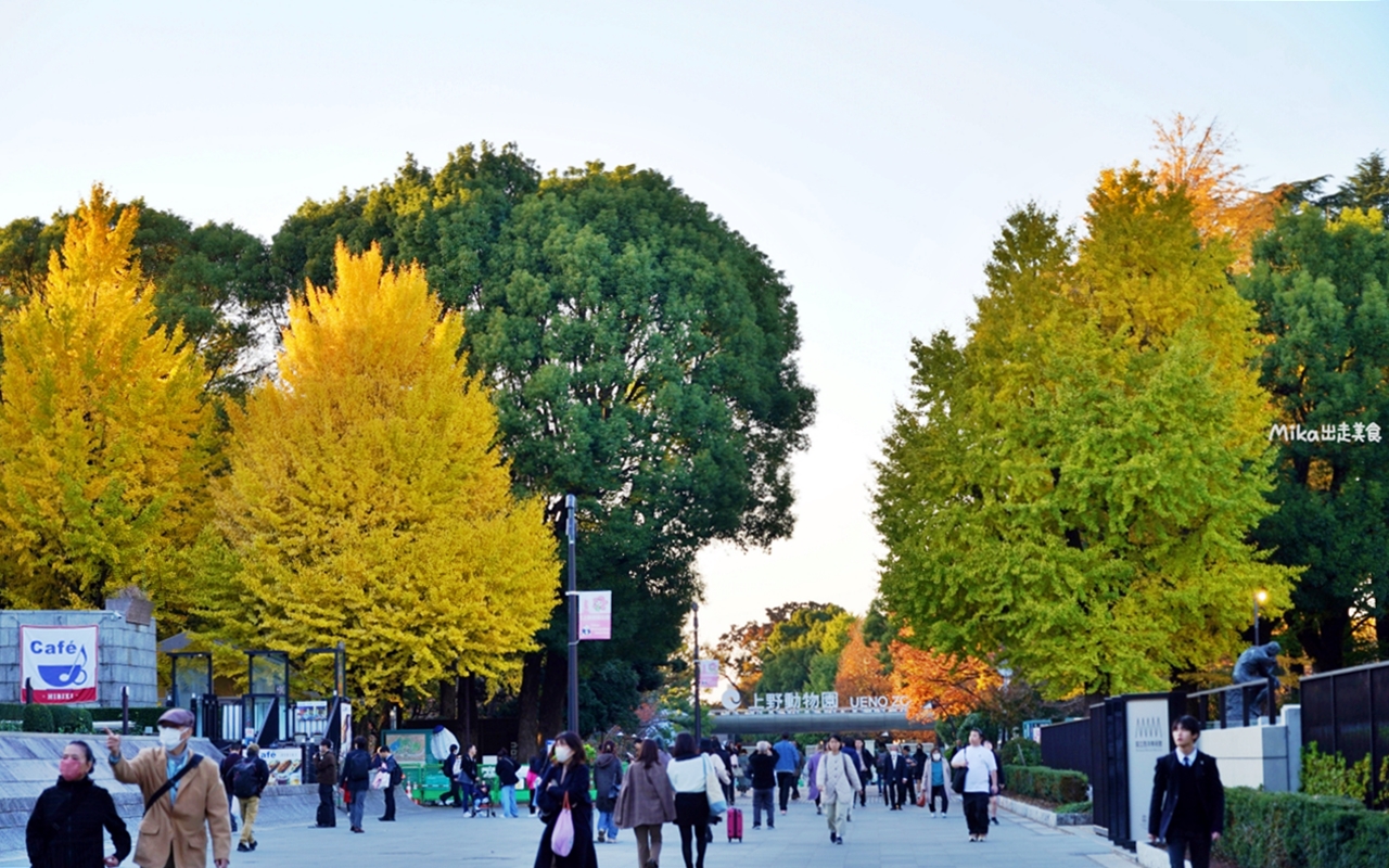 【東京】 上野 恩賜公園｜上野恩賜公園 140多年歷史 日本第一座都市公園，周邊景點與銀杏楓景重點總整理。