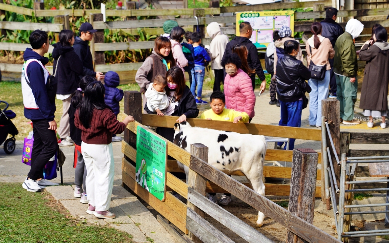 【苗栗】 通霄 飛牛牧場 ｜2024 Miaoli Fun Young 跑酷越野障礙賽，在歐風牧野大草原裡親子共跑，12大障礙關卡趣味跑酷挑戰。