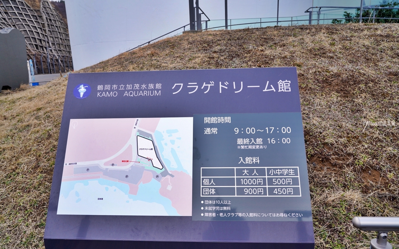 【日本】 山形 鶴岡市立加茂水族館｜世界上最大的水母水族館，展出種類數量最多，還有巨大水母展示水槽超好拍。