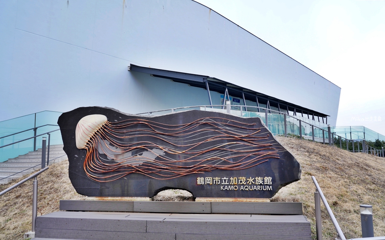 【日本】 山形 鶴岡市立加茂水族館｜世界上最大的水母水族館，展出種類數量最多，還有巨大水母展示水槽超好拍。