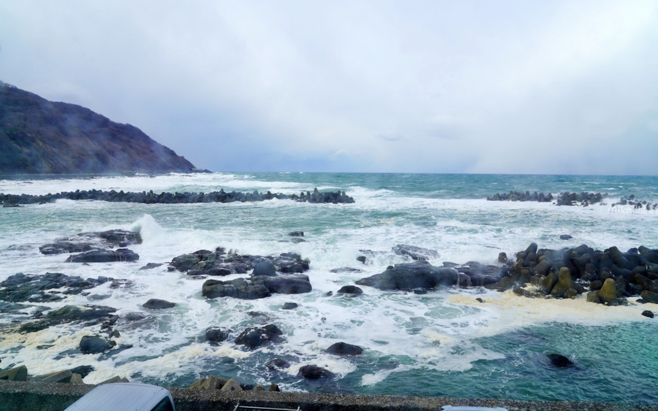 【日本】 山形 鶴岡市立加茂水族館｜世界上最大的水母水族館，展出種類數量最多，還有巨大水母展示水槽超好拍。