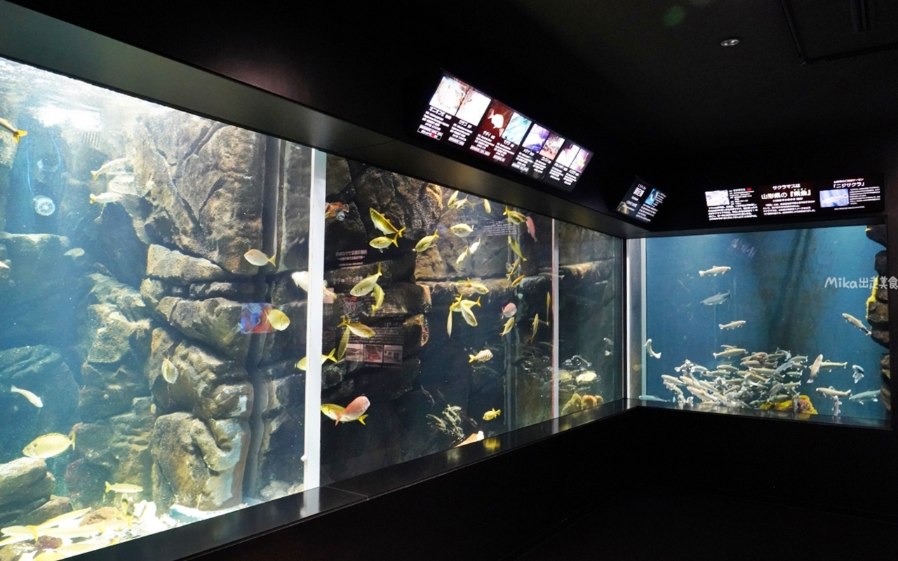 【日本】 山形 鶴岡市立加茂水族館｜世界上最大的水母水族館，展出種類數量最多，還有巨大水母展示水槽超好拍。