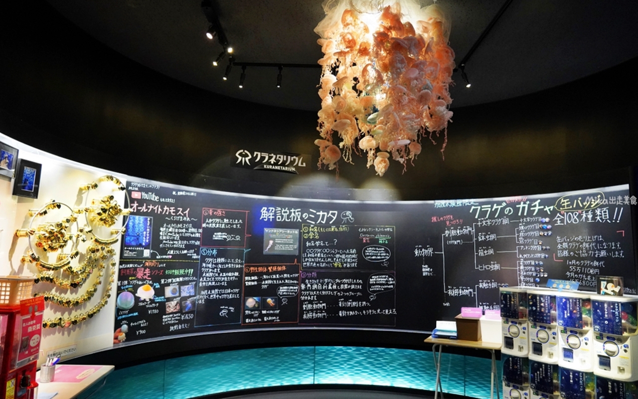 【日本】 山形 鶴岡市立加茂水族館｜世界上最大的水母水族館，展出種類數量最多，還有巨大水母展示水槽超好拍。