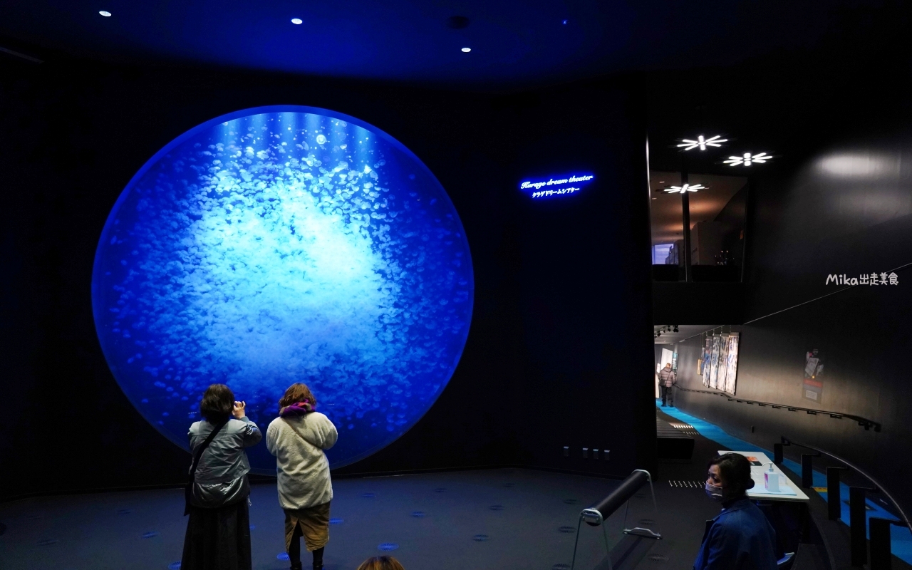 【日本】 山形 鶴岡市立加茂水族館｜世界上最大的水母水族館，展出種類數量最多，還有巨大水母展示水槽超好拍。