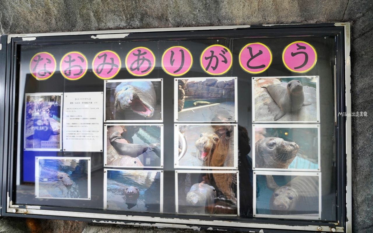 【日本】 山形 鶴岡市立加茂水族館｜世界上最大的水母水族館，展出種類數量最多，還有巨大水母展示水槽超好拍。