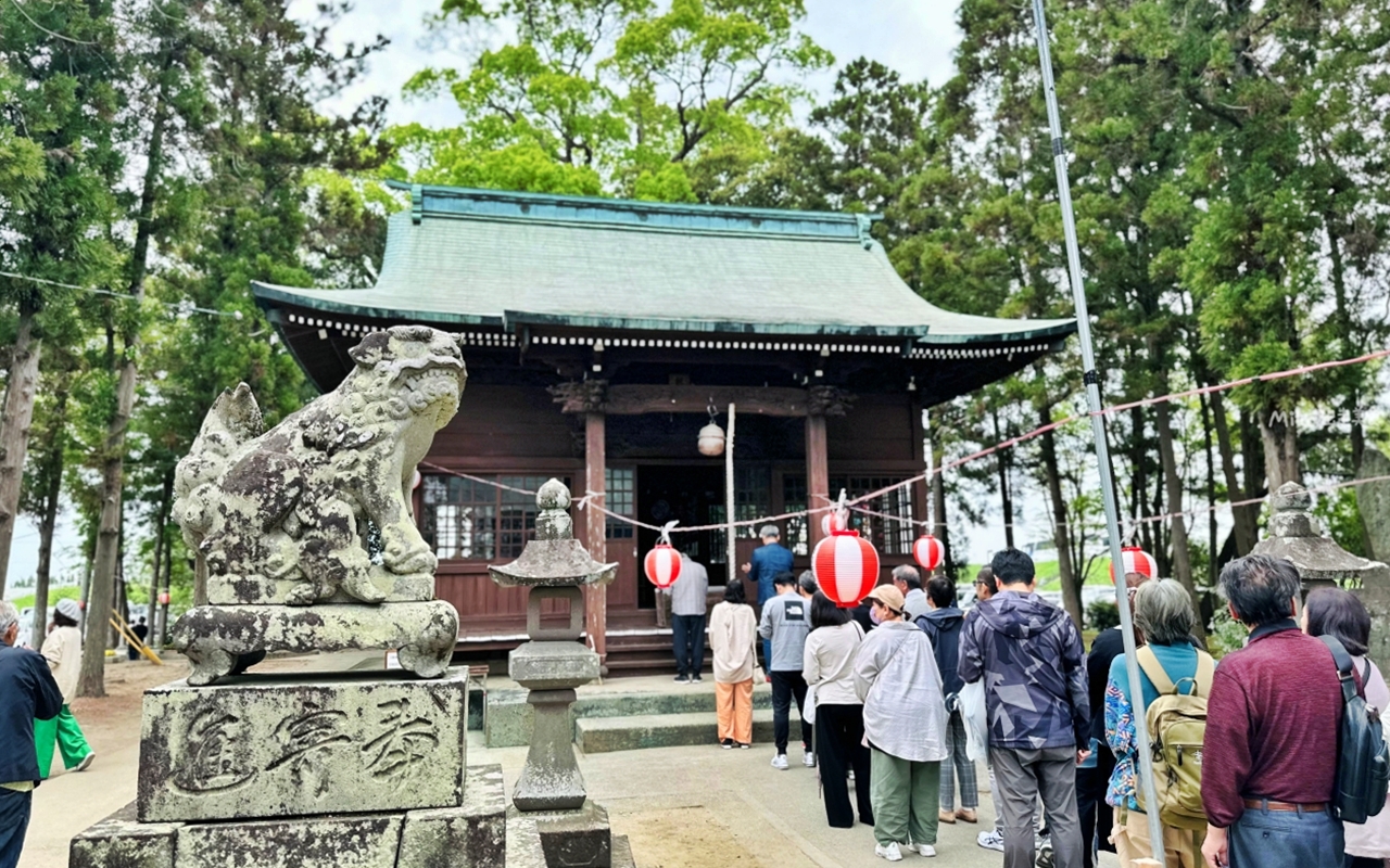 【九州】 柳川市 中山大藤｜九州人氣紫藤花推薦，中山熊野神社裡 樹齢約300多年，廣達350坪藤花棚的水都柳川絕美浪漫紫藤花。