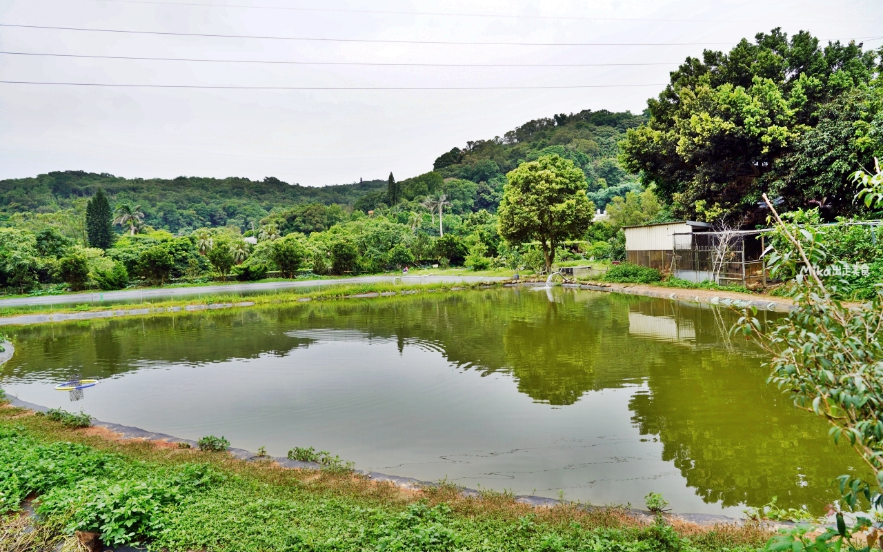 【桃園】龍潭 青山吉田｜橘子園裡超秘境，有夠難找，預約制木屋咖啡。