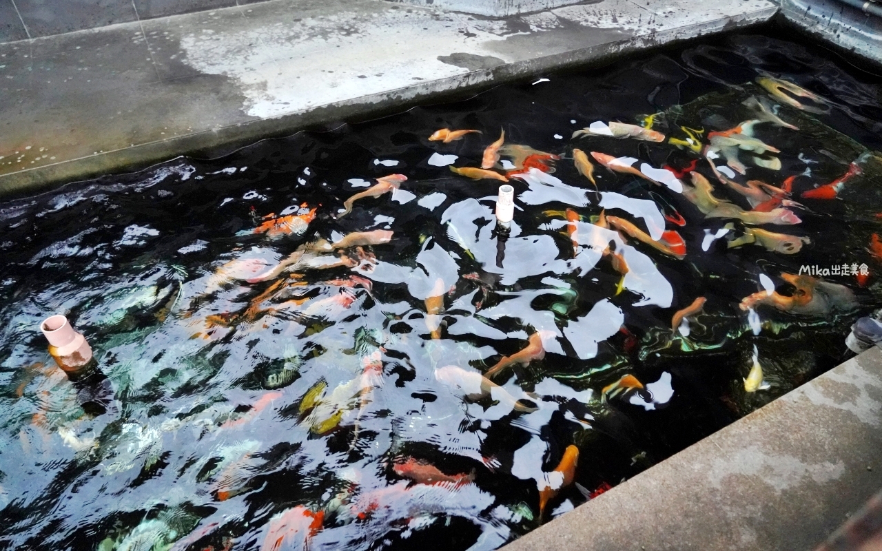 【台中】 龍井 三陽玉府天宮 (龍井天公廟)｜全台最大的天公廟！拜天公超霸氣， 用超巨大 比人還高的龍香及香爐，有夠狂。