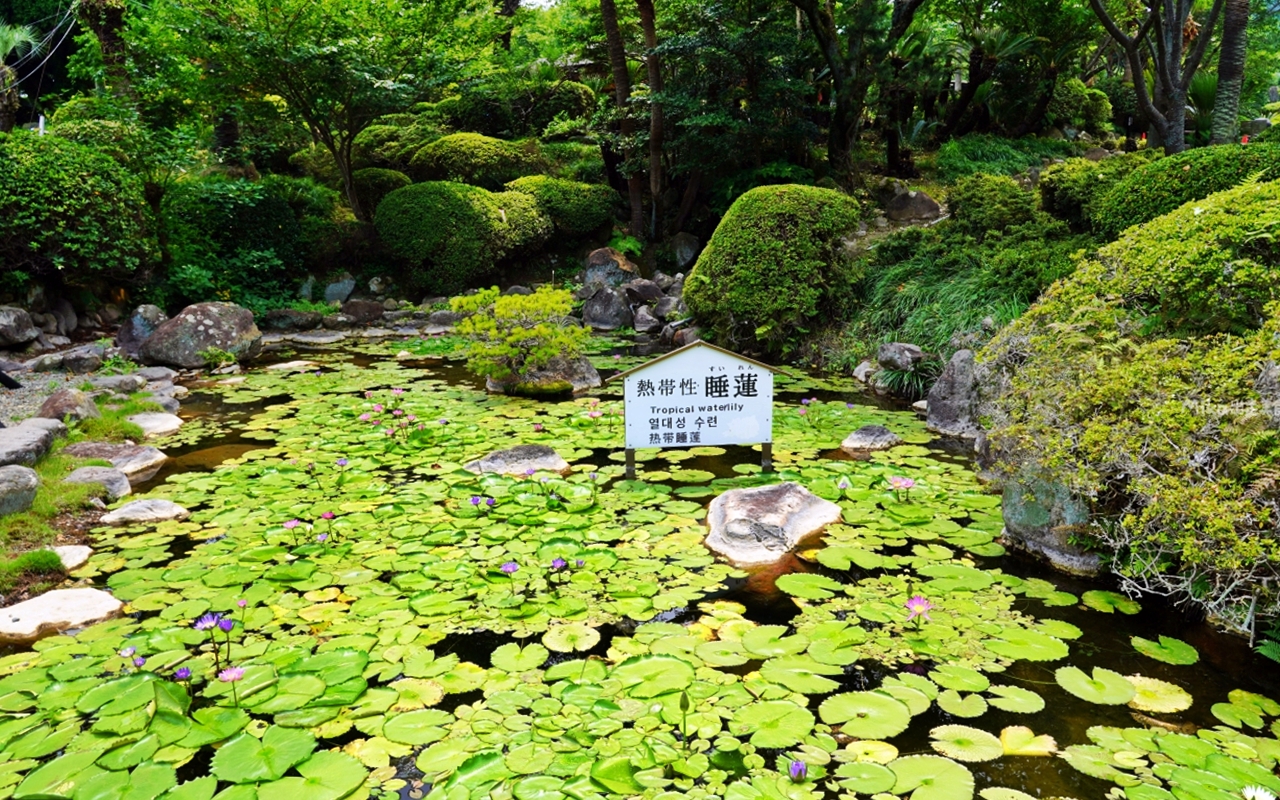 【日本】 大分 海地獄|別府七地獄,佔地最大最美的Tiffany藍地獄池,還有溫泉種出來的熱帶睡蓮花池。 【日本】 大分 海地獄|別府七地獄,佔地最大最美的Tiffany藍地獄池,還有溫泉種出來的熱帶睡蓮花池。