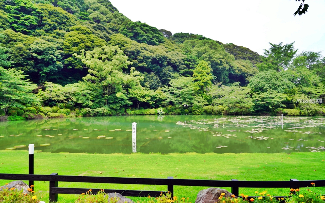 【日本】 大分 海地獄|別府七地獄,佔地最大最美的Tiffany藍地獄池,還有溫泉種出來的熱帶睡蓮花池。 【日本】 大分 海地獄|別府七地獄,佔地最大最美的Tiffany藍地獄池,還有溫泉種出來的熱帶睡蓮花池。
