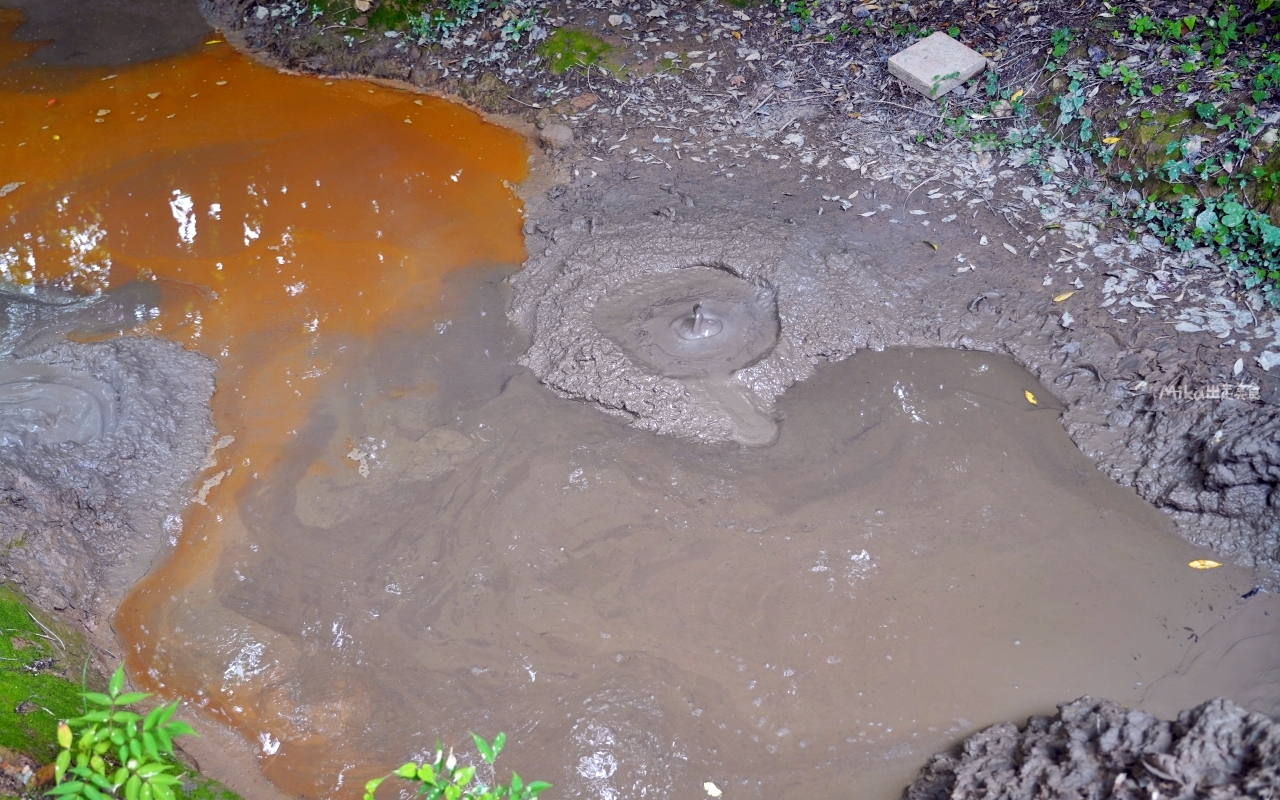 【日本】 大分別府 灶地獄｜別府7地獄中 最有趣、好玩而且種類最多的灶地獄，必吃地獄醬油布丁與溫泉蛋。