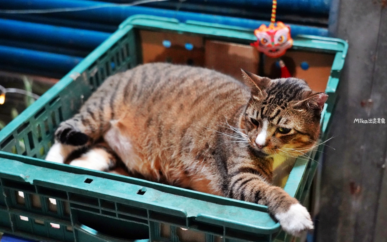 【新竹】 東區 普派西點蛋糕｜巷弄民宅內 新竹隱藏版蛋黃酥，顆顆碩大香酥還很爆餡！激推必買芋頭酥。