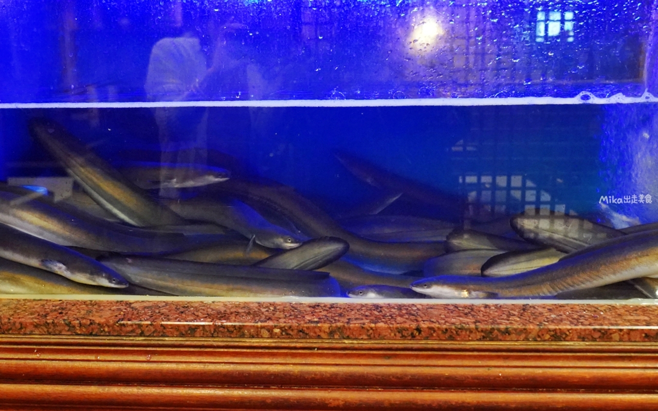 【韓國】 首爾 江南 永東鰻魚영동장어｜首爾必吃烤鰻魚，夏季食補聖品 外酥脆內軟Q還有滿滿膠質。