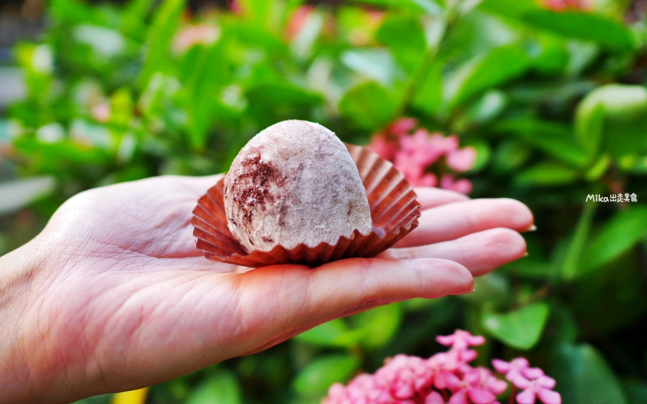 【台中】 中區 久味大姐手工麻糬@台中綠川店｜來自草屯的純米麻糬，既兼具傳統手工又有精美時尚包裝，長圓造型、鹹甜口味都有，台中最佳伴手禮推薦。
