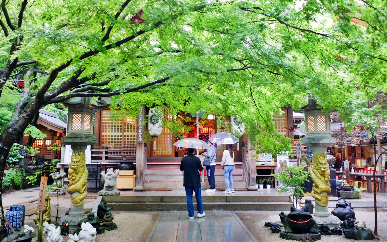 【日本】 福岡 如意輪寺（蛙寺）｜超可愛青蛙神社，收藏超過10000隻青蛙雕像及裝飾品，還有青蛙御守、御朱印，蛙控必來。