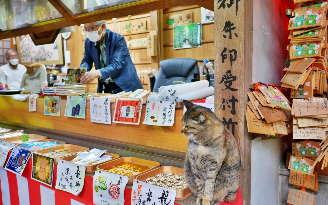 【日本】 福岡 如意輪寺（蛙寺）｜超可愛青蛙神社，收藏超過10000隻青蛙雕像及裝飾品，還有青蛙御守、御朱印，蛙控必來。