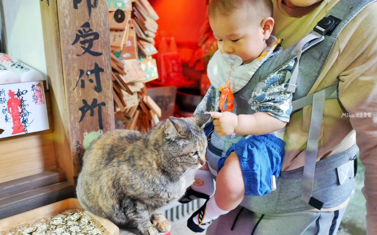 【日本】 福岡 如意輪寺（蛙寺）｜超可愛青蛙神社，收藏超過10000隻青蛙雕像及裝飾品，還有青蛙御守、御朱印，蛙控必來。