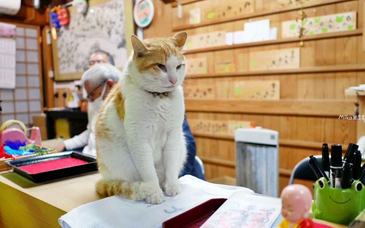 【日本】 福岡 如意輪寺（蛙寺）｜超可愛青蛙神社，收藏超過10000隻青蛙雕像及裝飾品，還有青蛙御守、御朱印，蛙控必來。