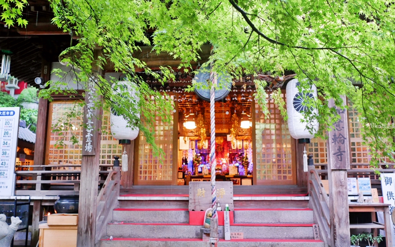 【日本】 福岡 如意輪寺（蛙寺）｜超可愛青蛙神社，收藏超過10000隻青蛙雕像及裝飾品，還有青蛙御守、御朱印，蛙控必來。