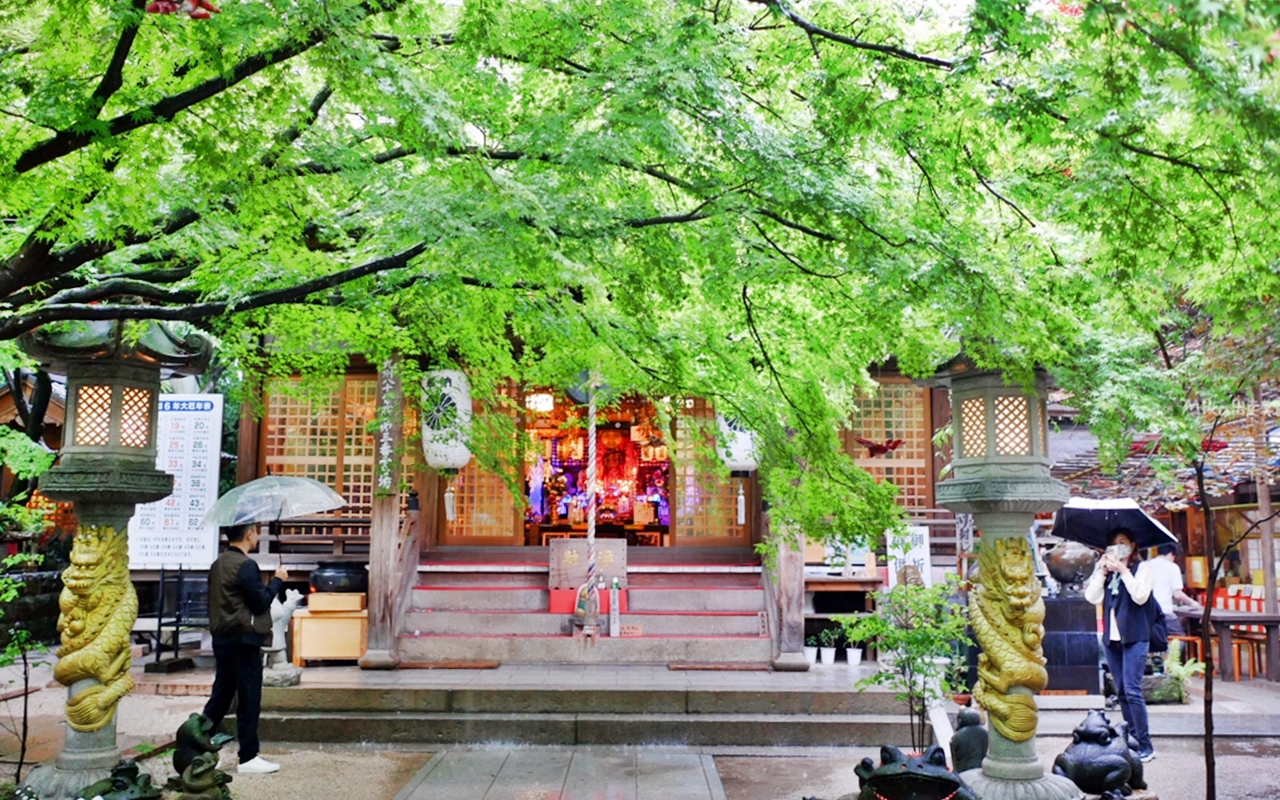 【日本】 福岡 如意輪寺（蛙寺）｜超可愛青蛙神社，收藏超過10000隻青蛙雕像及裝飾品，還有青蛙御守、御朱印，蛙控必來。