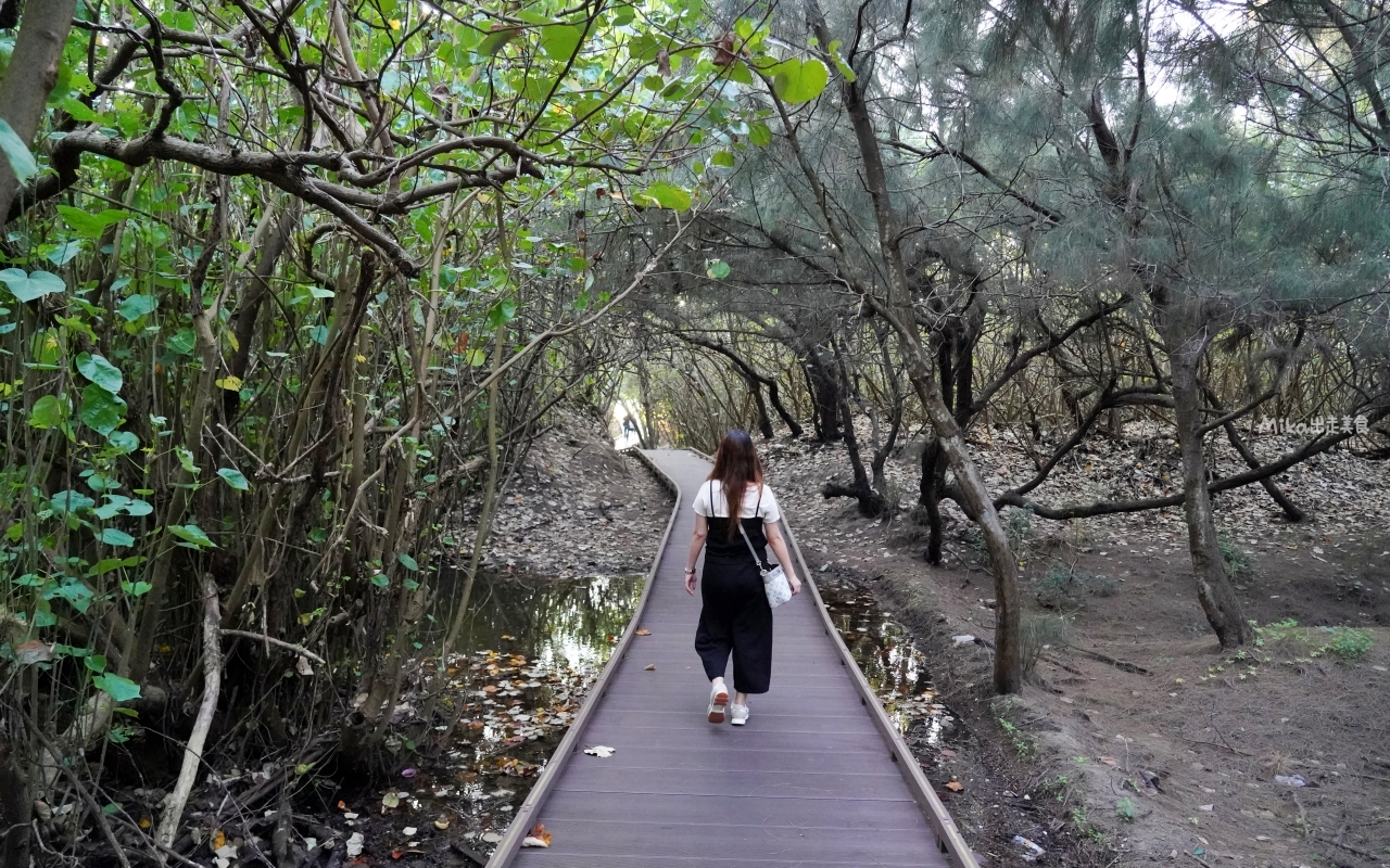 【苗栗】 苑裡 灣麗潮藝 海洋藝術季｜專屬苑裡的海洋派對，結合海洋市集、遊戲闖關跟DIY以及親子劇團等表演，文末還有苑裡秘境 夕陽海景大公開。