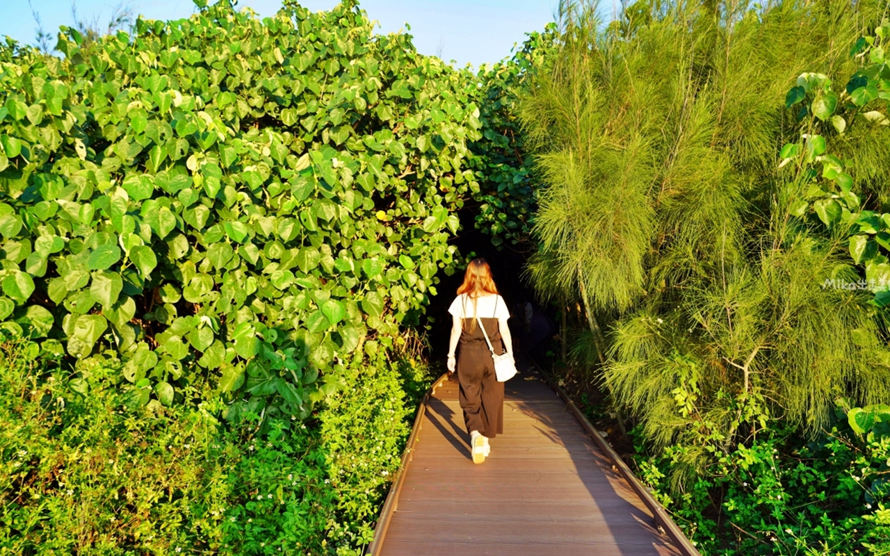 【苗栗】 苑裡 灣麗潮藝 海洋藝術季｜專屬苑裡的海洋派對，結合海洋市集、遊戲闖關跟DIY以及親子劇團等表演，文末還有苑裡秘境 夕陽海景大公開。