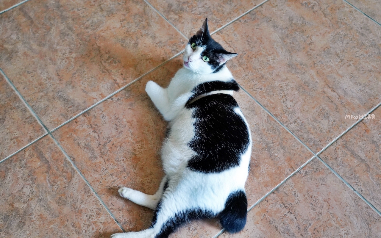 【新北】 貢寮 星空X藝素村 Sky Art Vegan Village ｜海廢創生，手工DIY玻璃藝術品以及蔬食料理藝素村。