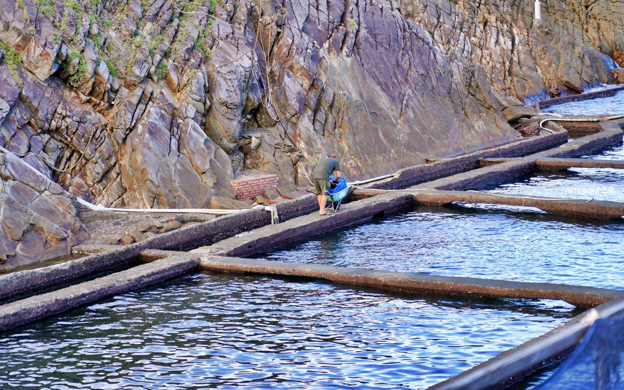 【新北】 貢寮 92k週末食堂｜東北角美食推薦 絕美海景餐廳，一週只營業4天 全預約制，季節限定 現剖海膽必吃。