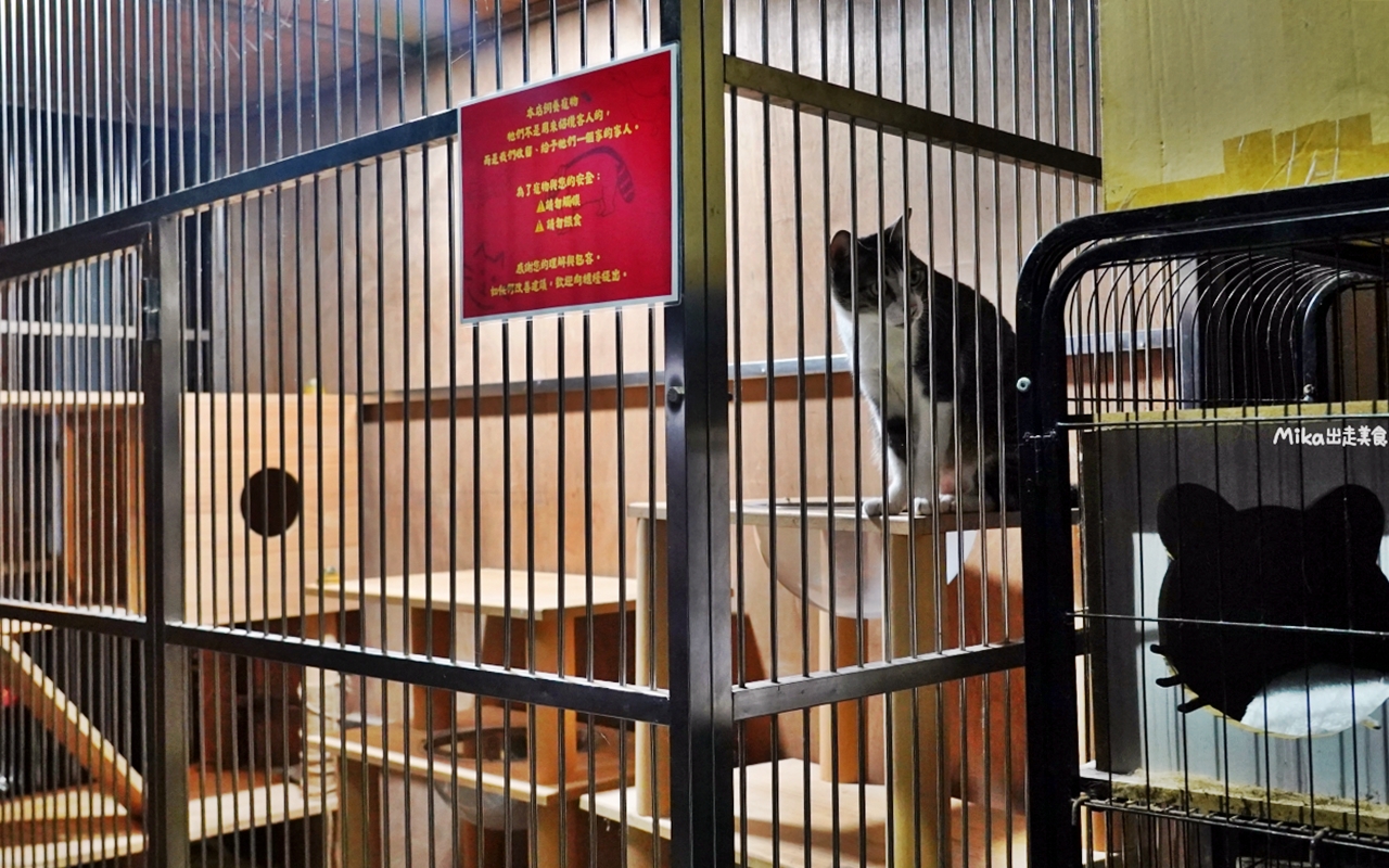 【宜蘭】 礁溪 塭底烤魚｜產地直達 自家半鹹水魚塭養殖 鹽味烤魚必點 ！