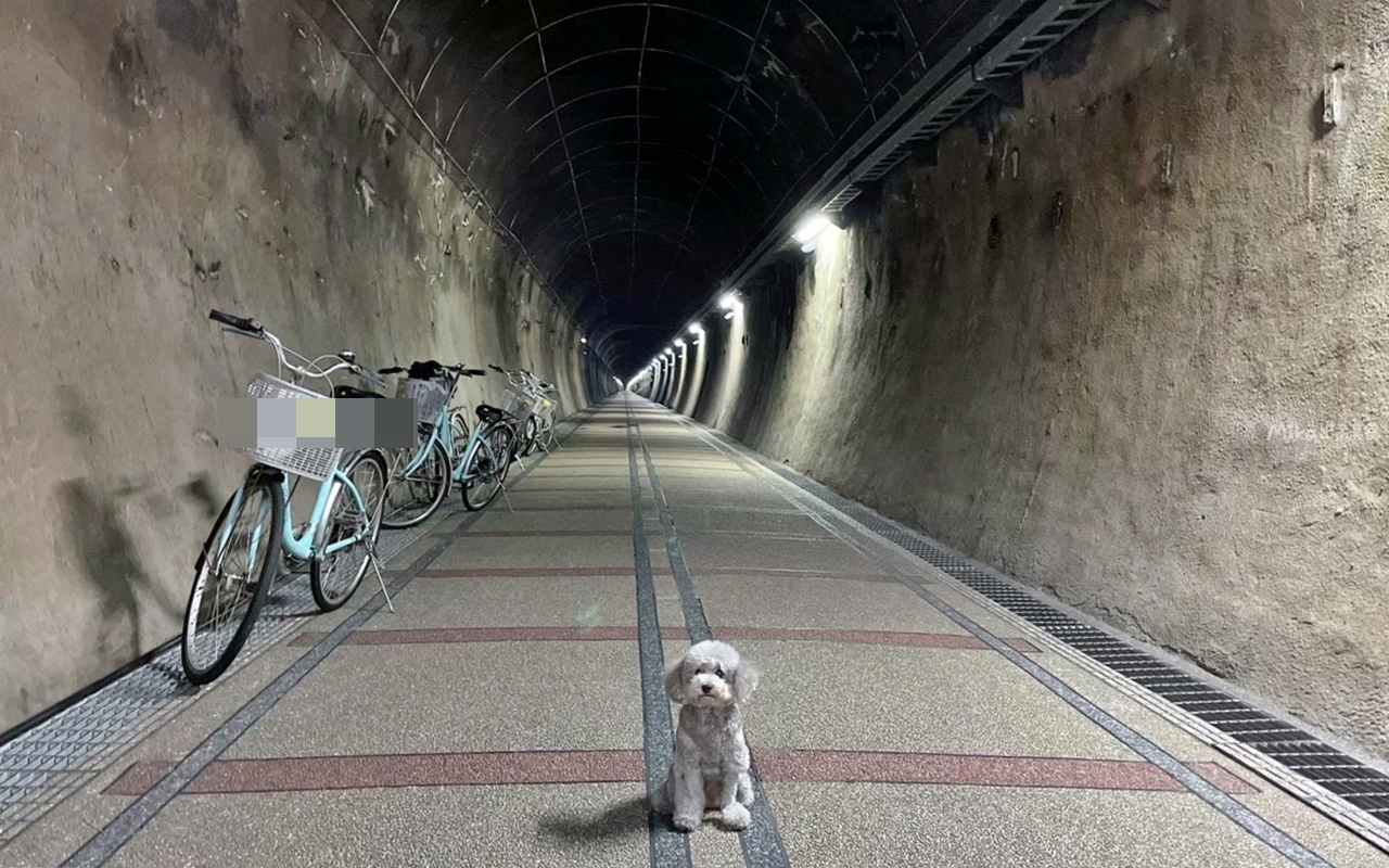 【新北】 台灣好行 – 黃金福隆線｜搭台灣好行 三線串遊東北角，買套票超划算，無限次數搭乘一日券還有特約店家合作優惠，玩遍東北角千元有找。