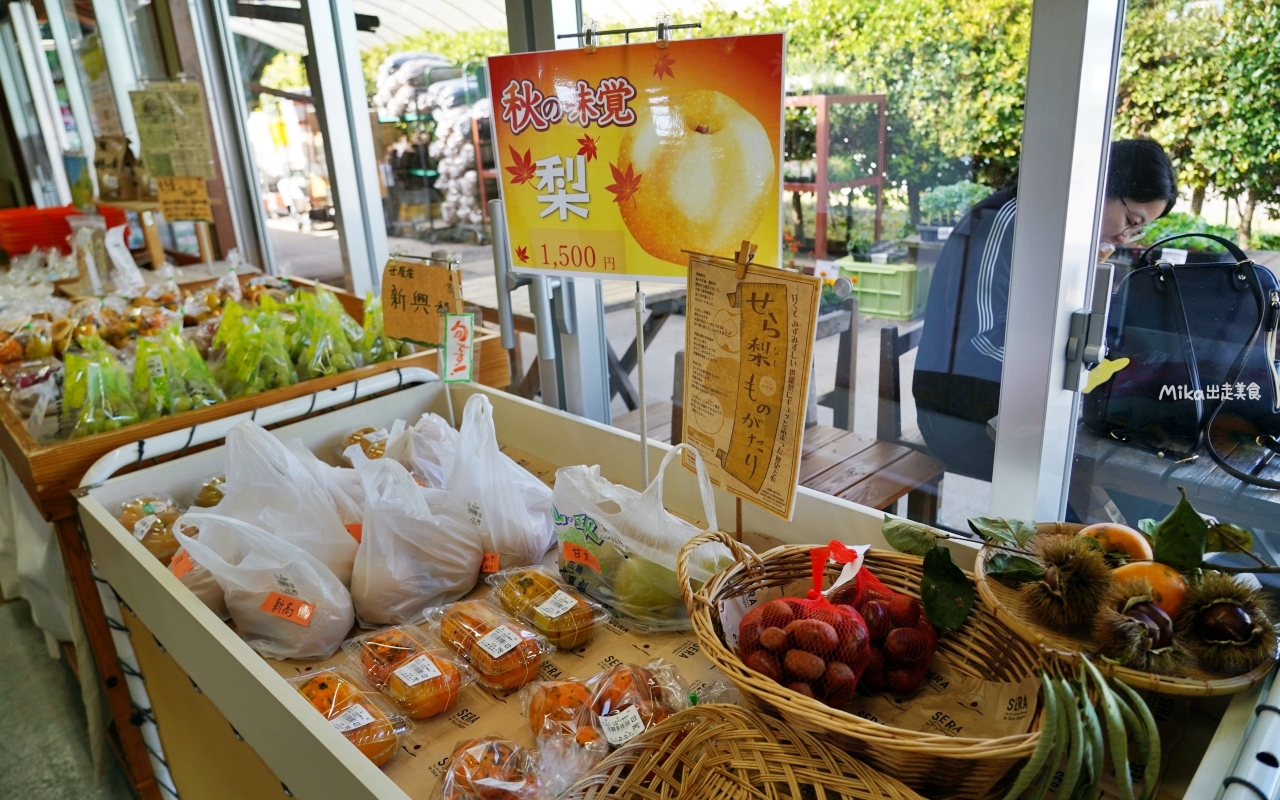 【廣島】 山陽 廣島 世羅 せら夢公園｜廣島自駕景點推薦 全日本第二長 迷你蒸氣小火車以及花卉料理很喜歡。