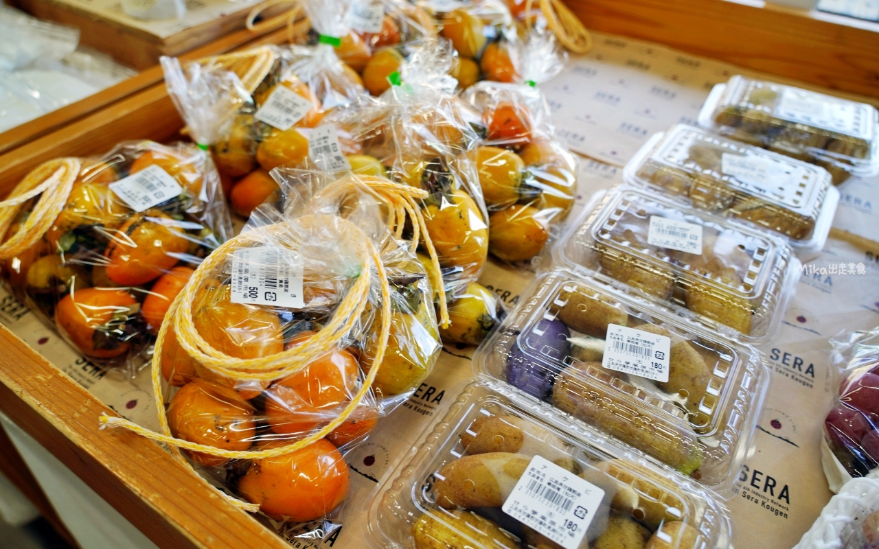 【廣島】 山陽 廣島 世羅 せら夢公園｜廣島自駕景點推薦 全日本第二長 迷你蒸氣小火車以及花卉料理很喜歡。