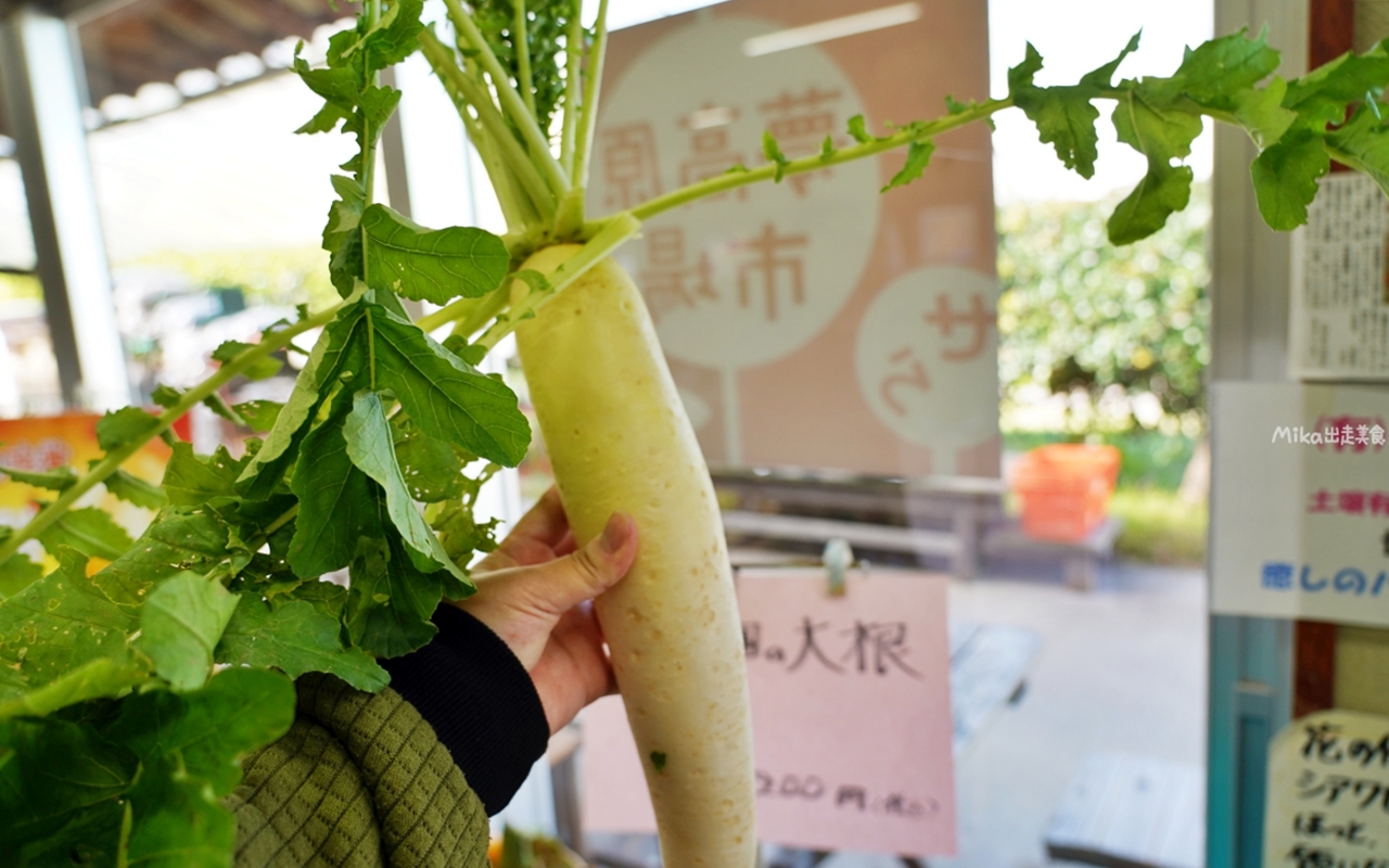 【廣島】 山陽 廣島 世羅 せら夢公園｜廣島自駕景點推薦 全日本第二長 迷你蒸氣小火車以及花卉料理很喜歡。
