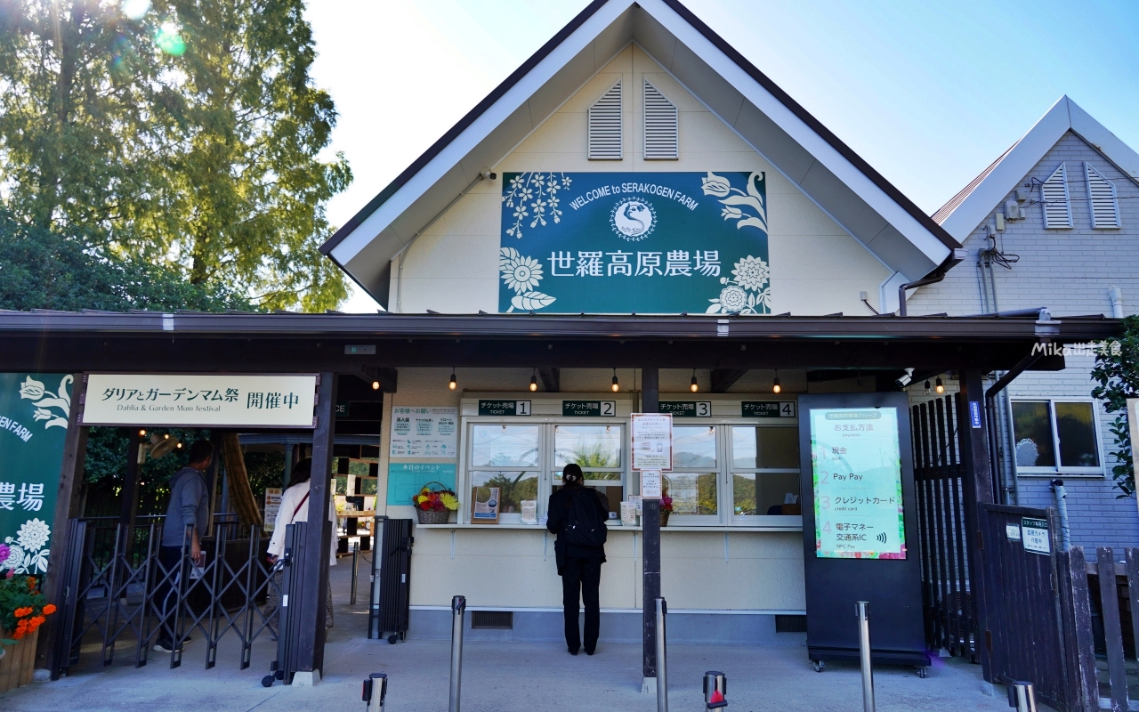 【日本】山陽 廣島 世羅高原農場｜日本最大規模花田竟然在廣島！？每季都有不同的花海絕景，秋菊美到根本置身童話世界。