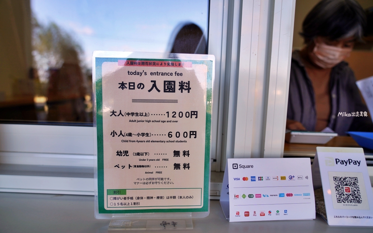 【日本】山陽 廣島 世羅高原農場｜日本最大規模花田竟然在廣島！？每季都有不同的花海絕景，秋菊美到根本置身童話世界。