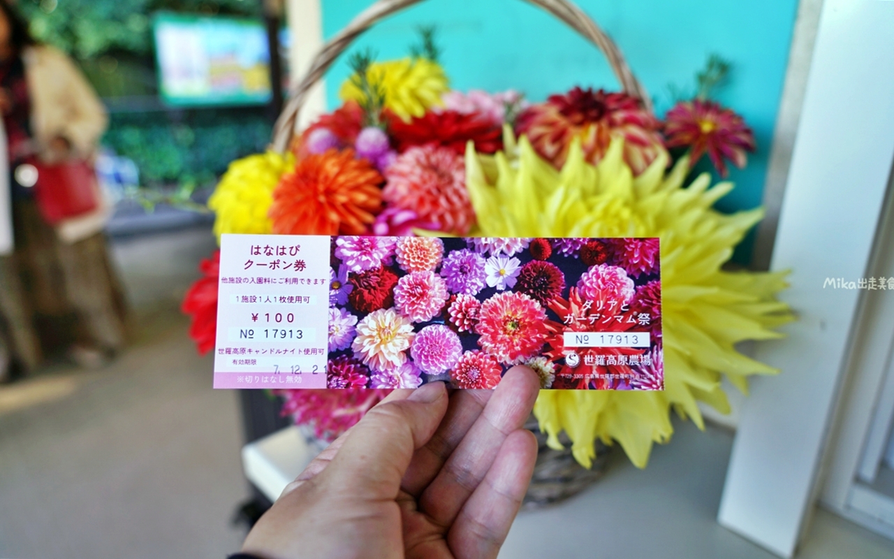 【日本】山陽 廣島 世羅高原農場｜日本最大規模花田竟然在廣島！？每季都有不同的花海絕景，秋菊美到根本置身童話世界。