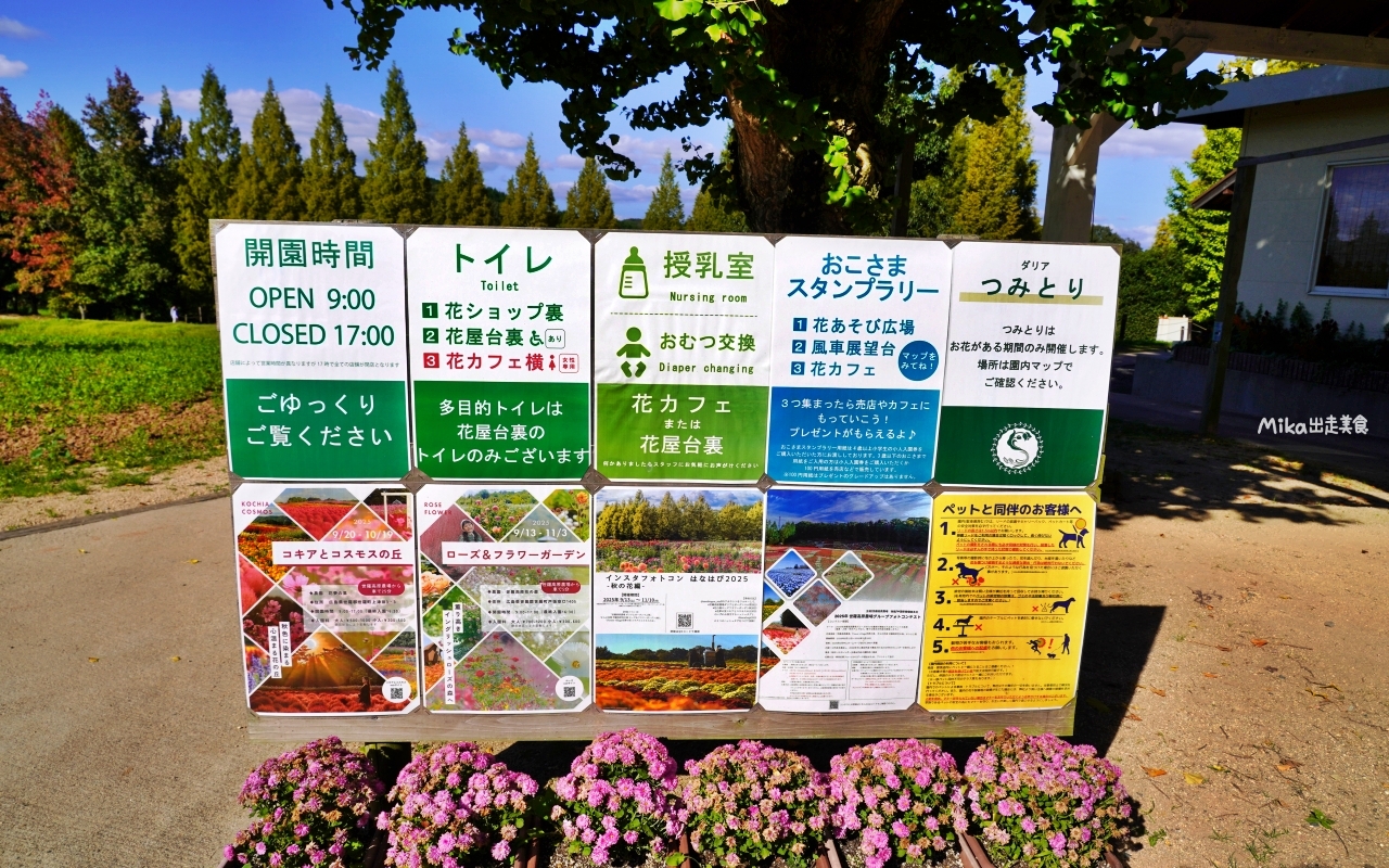 【日本】山陽 廣島 世羅高原農場｜日本最大規模花田竟然在廣島！？每季都有不同的花海絕景，秋菊美到根本置身童話世界。