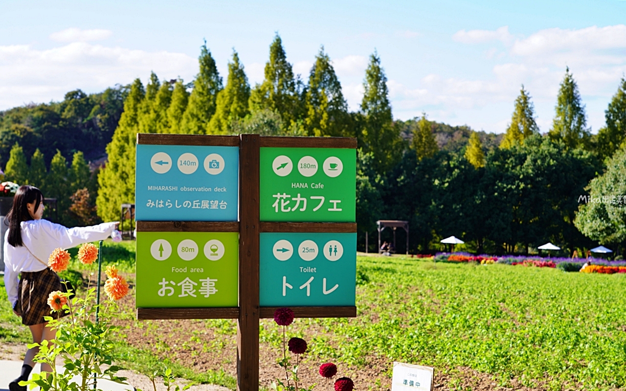 【日本】山陽 廣島 世羅高原農場｜日本最大規模花田竟然在廣島！？每季都有不同的花海絕景，秋菊美到根本置身童話世界。