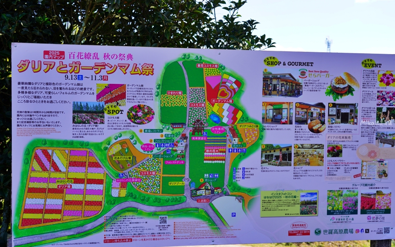 【日本】山陽 廣島 世羅高原農場｜日本最大規模花田竟然在廣島！？每季都有不同的花海絕景，秋菊美到根本置身童話世界。