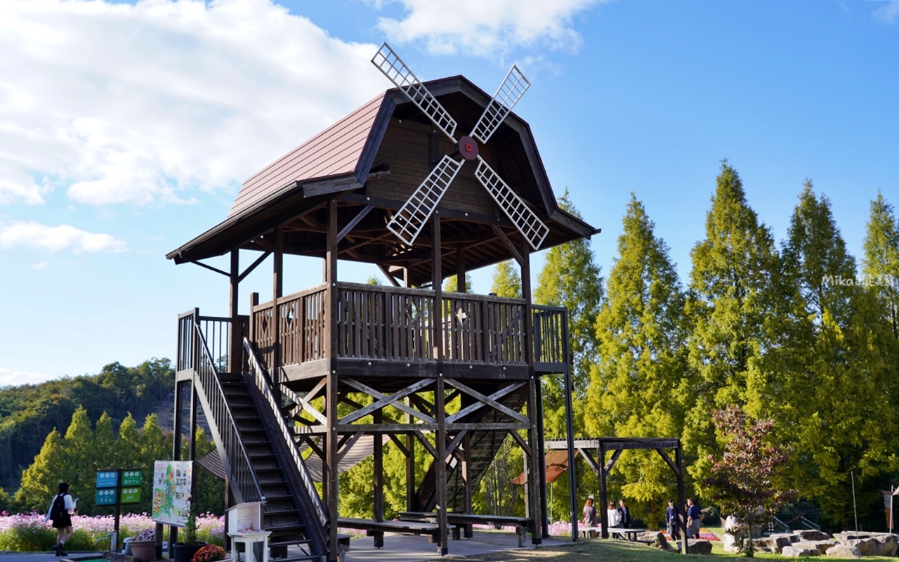 【日本】山陽 廣島 世羅高原農場｜日本最大規模花田竟然在廣島！？每季都有不同的花海絕景，秋菊美到根本置身童話世界。